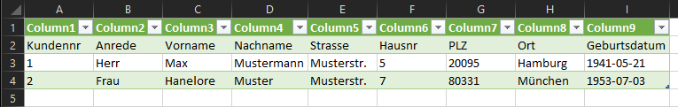 Excel CSV-Import Ergebnis